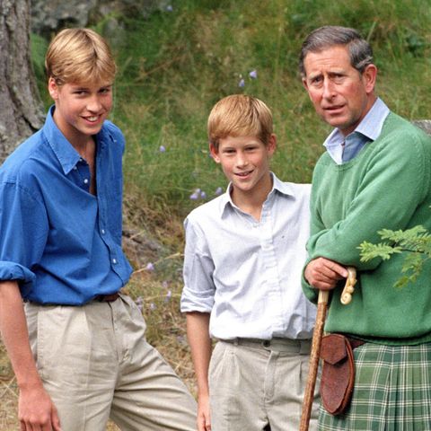 Prinz William, Prinz Harry und Prinz Charles