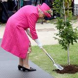 Bei ihrem Besuch des "National Institute of Agricultural Botany" greift Queen Elizabeth zum Spaten und hilft beim Baumpflanzen.