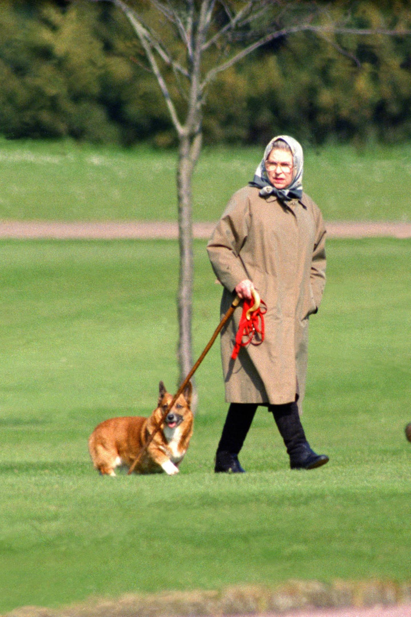 Queen ihre So verwöhnt Hunde sie Elizabeth: