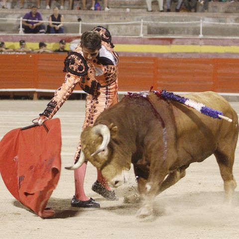Stierkampf ist weltweit höchst umstritten, gilt in Spanien aber als Tradition