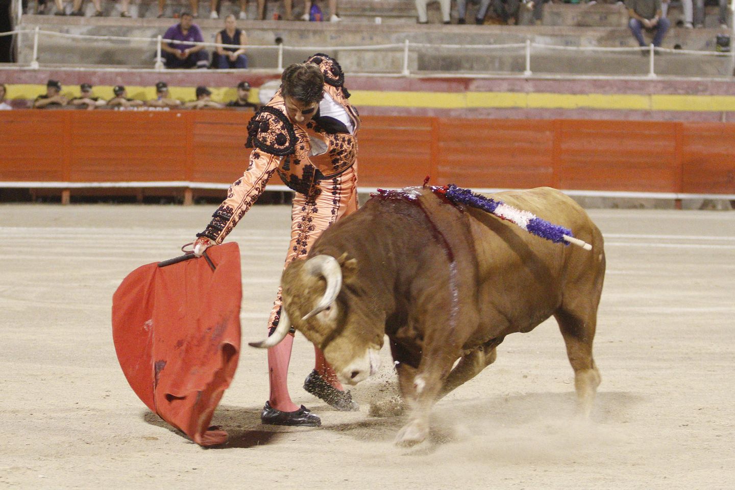 Stierkampf ist weltweit höchst umstritten, gilt in Spanien aber als Tradition