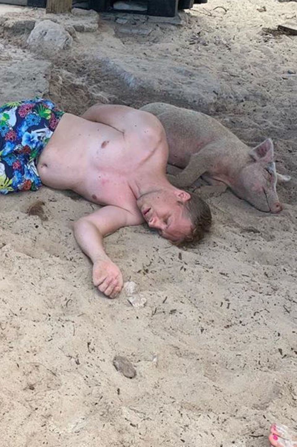 19. August 2019  Comedian Oliver Pocher stellt erneut seinen Humor unter Beweis und postet auf Instagram dieses lustige Foto vom "Pig Beach" mit folgenden Worten: "Oktoberfest 2019 auf den Bahamas!"