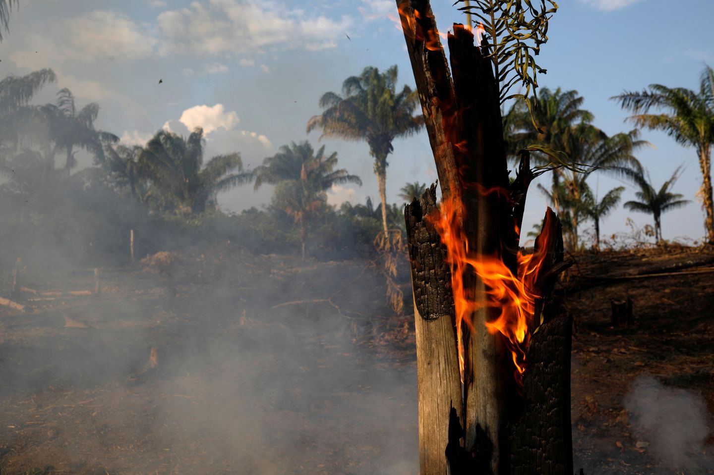 Die Amazonas Waldbrände sind verheerend.
