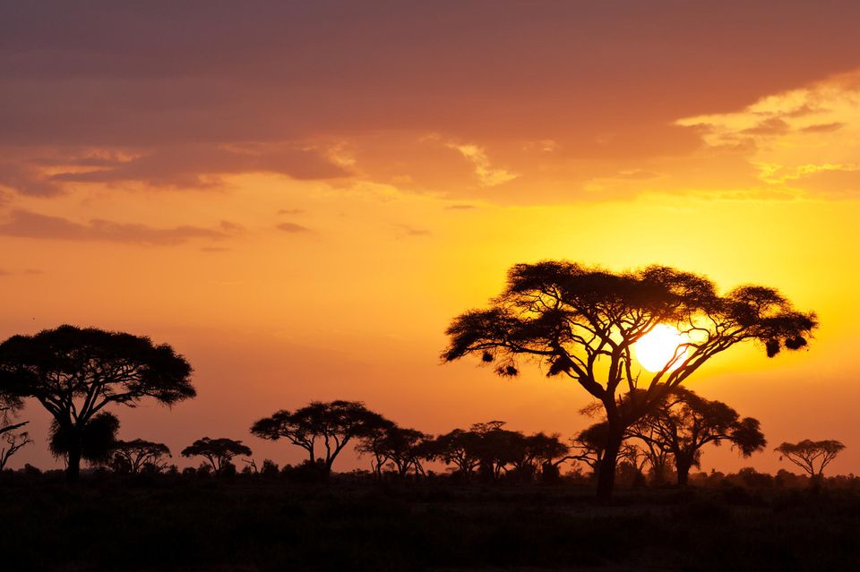 Sonnenuntergang in Kenia, Afrika 