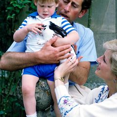 Schauen Sie mit uns zurück auf die schönsten Kinderbilder von Harry und seinem großen Bruder Prinz William.