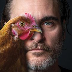 "The Joker"-Star Joaquin Phoenix richtet mit diesem Porträt aus der "Wir sind alle Tiere"-Reihe ein Appell für vegane Ernährung und ein Ende des Speziesismus, (der falsche Glaube, andere Tierarten seien dem Menschen unterlegen) an alle Menschen. Das neue Motiv von Peta USA war erstmals prominent am New Yorker Times Square zu sehen.