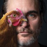 "The Joker"-Star Joaquin Phoenix richtet mit diesem Porträt aus der "Wir sind alle Tiere"-Reihe ein Appell für vegane Ernährung und ein Ende des Speziesismus, (der falsche Glaube, andere Tierarten seien dem Menschen unterlegen) an alle Menschen. Das neue Motiv von Peta USA war erstmals prominent am New Yorker Times Square zu sehen.
