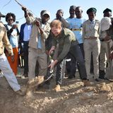 Prinz Harry + Herzogin Meghan: Tag 4 Der vierte Tag der royalen Afrika-Reise beginnt für Prinz Harry mit dem Pflanzen von Bäumen im Chobe Nationalpark in Botswana.