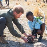 Prinz Harry + Herzogin Meghan: Bei dem sozialen Projekt im Waldreservat mit einheimischen Schulkindern packt Harry mit Freude an.