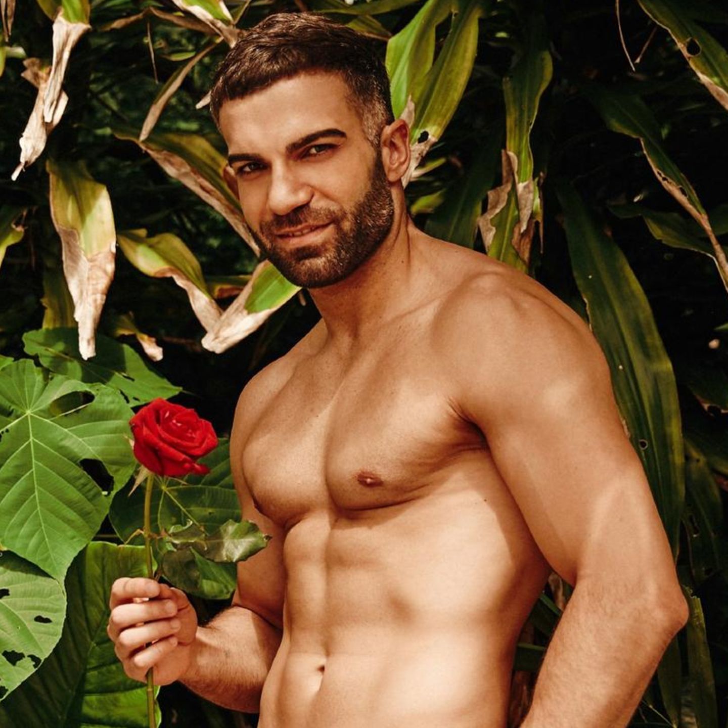 Bachelor in Paradise Rafi Rachek outet sich als schwul GALA.de Bild