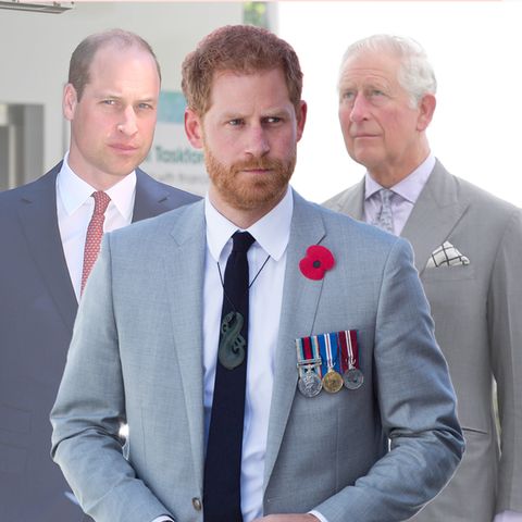 Prinz William, Prinz Harry und Prinz Charles