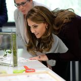 9. Oktober 2019  Auch Herzogin Kate hat einen Termin im Naturkunde Museum in London, wo sie  das "Angela Marmont Centre for UK Biodiversity" besucht. 