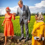 18. Oktober 2019  Galant geleitet Willem-Alexander seine Frau im strahlenden Dress durch ein Reisfeld in den Backwaters bei Alappuzha.