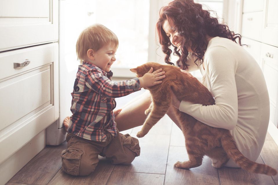 Katzenliebhaber, kleiner Junge mit Mutter und Katze, kleiner Junge streichelt Katze