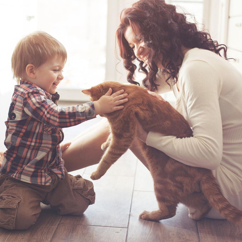 Katzenliebhaber, kleiner Junge mit Mutter und Katze, kleiner Junge streichelt Katze