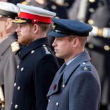 Prinz Andrew, Prinz Harry und Prinz Wiliam am Remembrance Sunday 2019