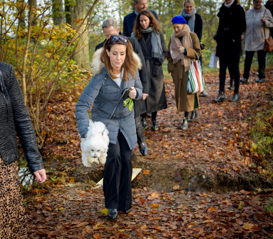 9. November 2019  Auf dem Weg zu Schloss Schackenborg lässt sich das weiße Fellknäuel allerdings tragen, um sich die royalen Pfoten nicht schmutzig zu machen.