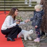 9. November 2019  Auch beim Begrüßen der Gäste steht Hundedame Cerise Prinzessin Marie freundlich zur Seite.