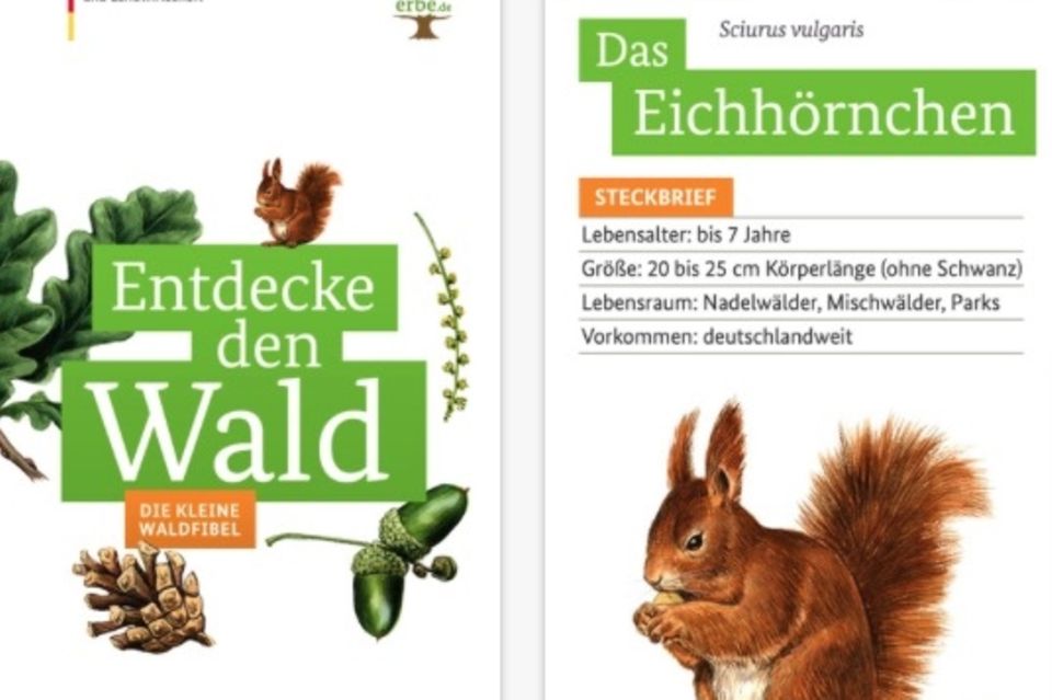 Wenn schon Spielen, dann richtig: Die Waldfibel Die Waldfibel