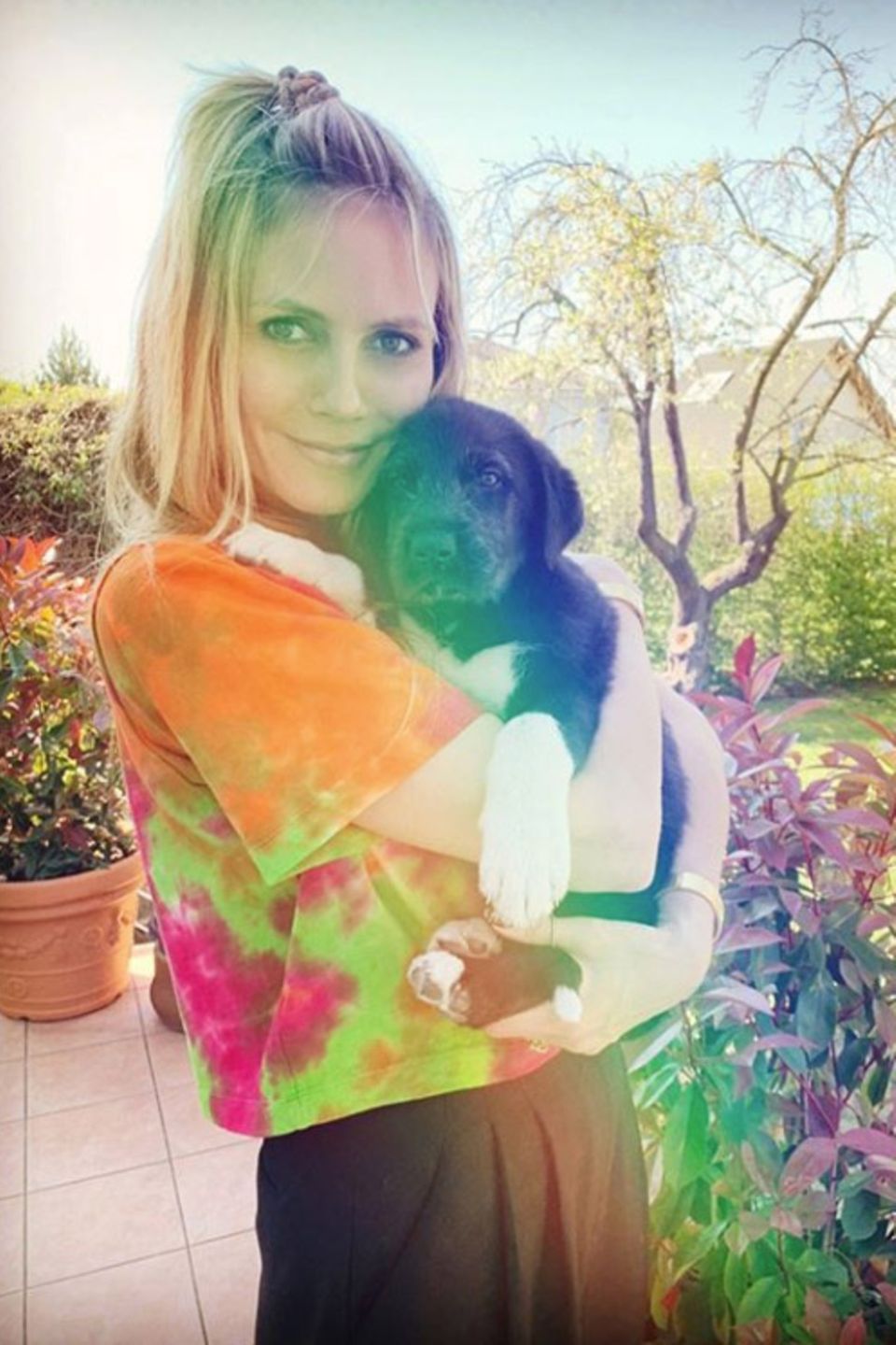 Anton, den neuesten Familienzuwachs im Hause Klum-Kaulitz, durften wir bereits kennenlernen. Mit welchem treuen Hundeblick der Welpe das Herz der Familie im Sturm eroberte, zeigt Heidi Klum nun mit diesem goldigen Erinnerungsfoto an den schönen Moment ihrer ersten Begegnung. Anton, den neuesten Familienzuwachs im Hause Klum-Kaulitz, durften wir bereits kennenlernen. Mit welchem treuen Hundeblick der Welpe das Herz der Familie im Sturm eroberte, zeigt Heidi Klum nun mit diesem goldigen Erinnerungsfoto an den schönen Moment ihrer ersten Begegnung.
