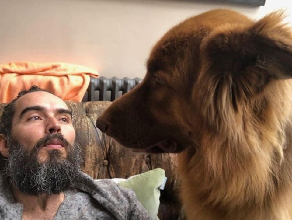 Mit einem guten Kumpel an der der Seite verbringt man den Sonntag noch viel entspannter auf der Couch - so sehen es auch Russell Brand und sein Buddy. Mit einem guten Kumpel an der der Seite verbringt man den Sonntag noch viel entspannter auf der Couch - so sehen es auch Russell Brand und sein Buddy.