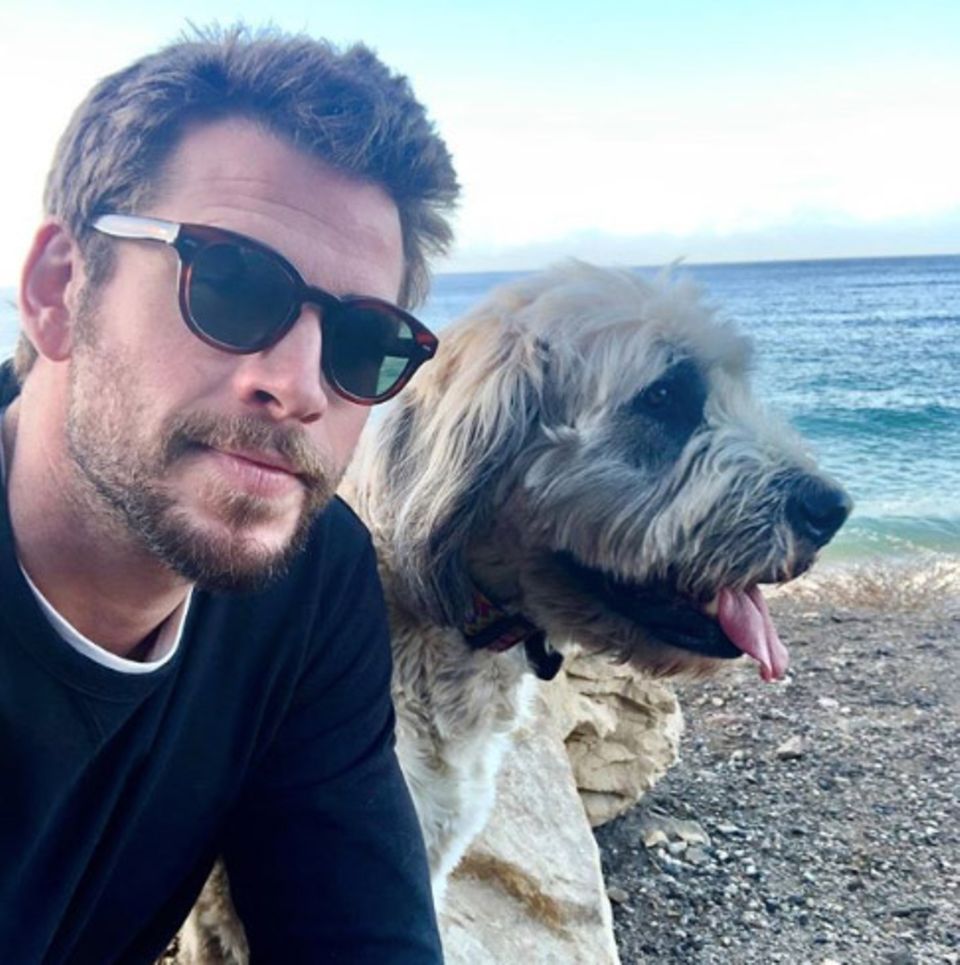 Freundinnen mögen kommen und gehen, aber auf diese treue Gefährtin an seiner Seite kann sich Schauspieler Liam Hemsworth voll und ganz verlassen. Freundinnen mögen kommen und gehen, aber auf diese treue Gefährtin an seiner Seite kann sich Schauspieler Liam Hemsworth voll und ganz verlassen.