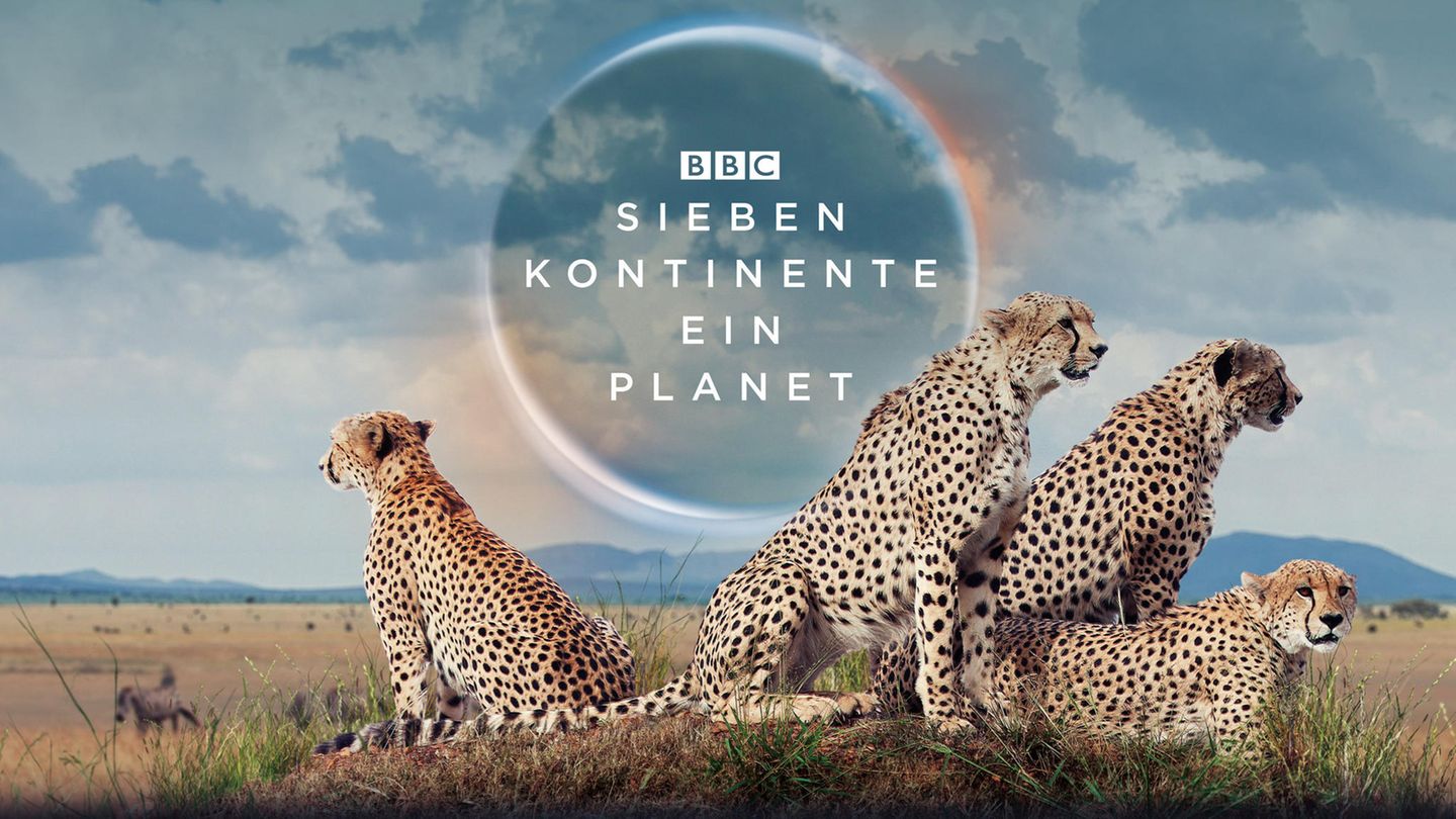 "Sieben Kontinente, Ein Planet" - Die ZDF-Natur-Doku Geht Auf Große ...