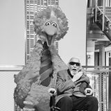 8. Dezember 2019: Caroll Spinney (85 Jahre)  Ein trauriger Tag in der US-amerikanischen Sesamstraße: Puppenspieler Caroll Spinney ist mit 85 Jahren seiner Dystonie-Erkrankung erlegen. Über 50 Jahre lang begeistere er Millionen von Kindern als Bibo und Oscar aus der Mülltonne.