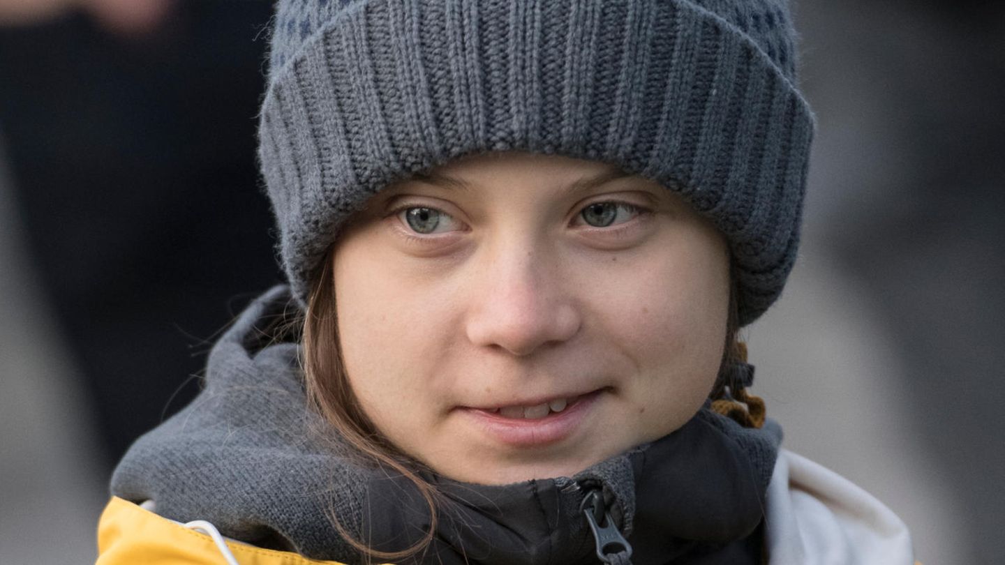 Greta Thunberg: "Beweisvideo" zeigt, wie es wirklich im ICE aussah