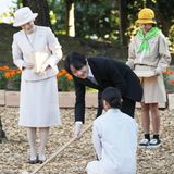 16. Dezember 2019  Zum 43. Nationalen Baumpflegefestival in Okinawa packt auch der japanische Kronprinz Akishino an der Seite seiner Gattin Prinzessin Kiko fleißig mit an.