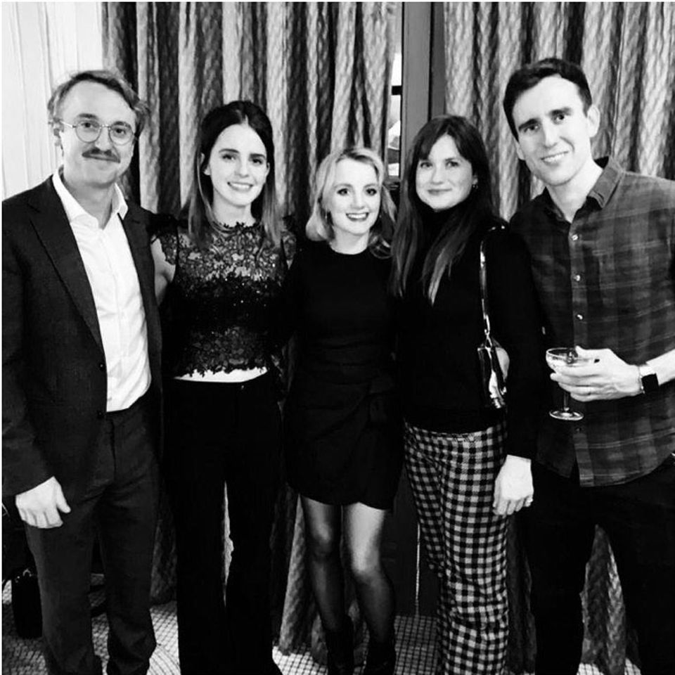 Die "Harry Potter"-Stars