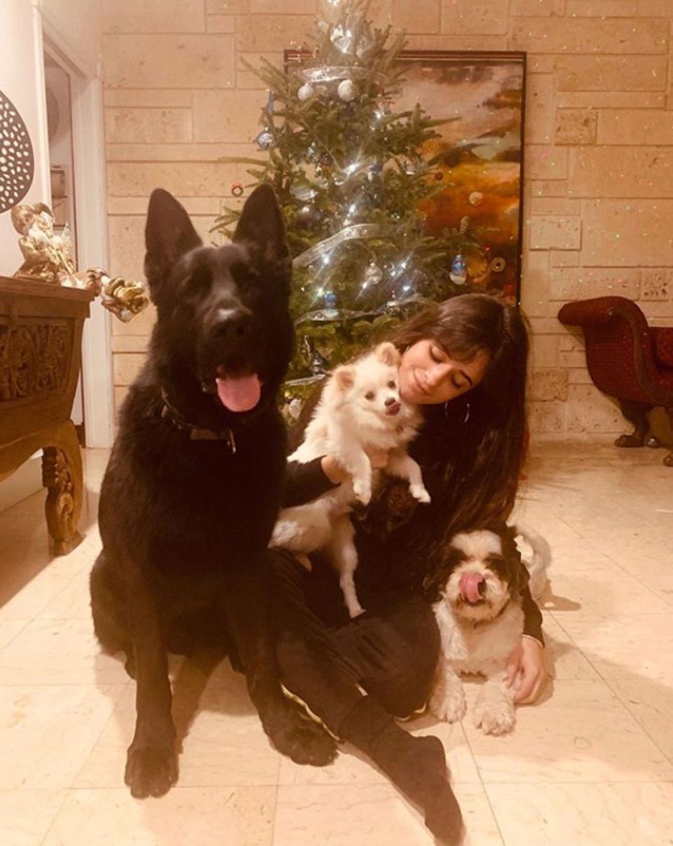 Auch Sängerin Camila Cabello feiert im Kreise ihrer Liebsten auf vier Pfoten. Nur, dass man beim tierischen Familienfoto traditionell die Zunge rausstreckt, hat ihr vorher wohl keiner gesteckt. Auch Sängerin Camila Cabello feiert im Kreise ihrer Liebsten auf vier Pfoten. Nur, dass man beim tierischen Familienfoto traditionell die Zunge rausstreckt, hat ihr vorher wohl keiner gesteckt.