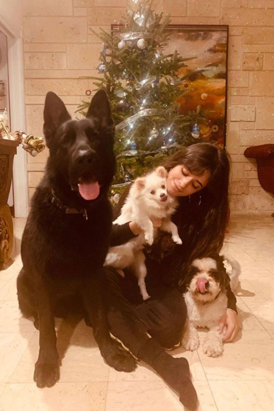 Auch Sängerin Camila Cabello feiert im Kreise ihrer Liebsten auf vier Pfoten. Nur, dass man beim tierischen Familienfoto traditionell die Zunge rausstreckt, hat ihr vorher wohl keiner gesteckt. Auch Sängerin Camila Cabello feiert im Kreise ihrer Liebsten auf vier Pfoten. Nur, dass man beim tierischen Familienfoto traditionell die Zunge rausstreckt, hat ihr vorher wohl keiner gesteckt.