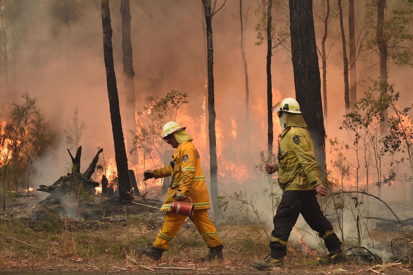 Feuerwehrmänner kämpfen in Australien gegen die Buschbrände