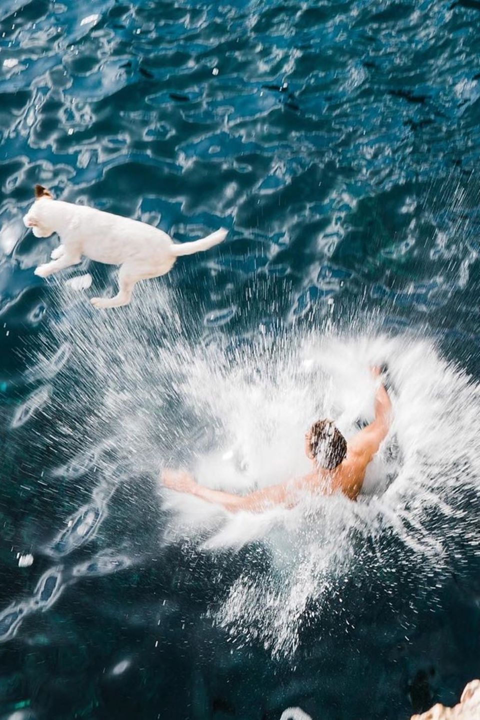 Florian David Fitz springt von einer Klippe ins Wasser