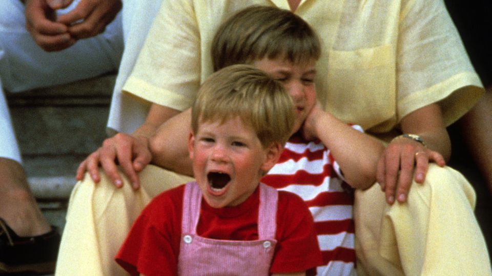 Prinz Harry, Prinz William und Lady Diana 1987
