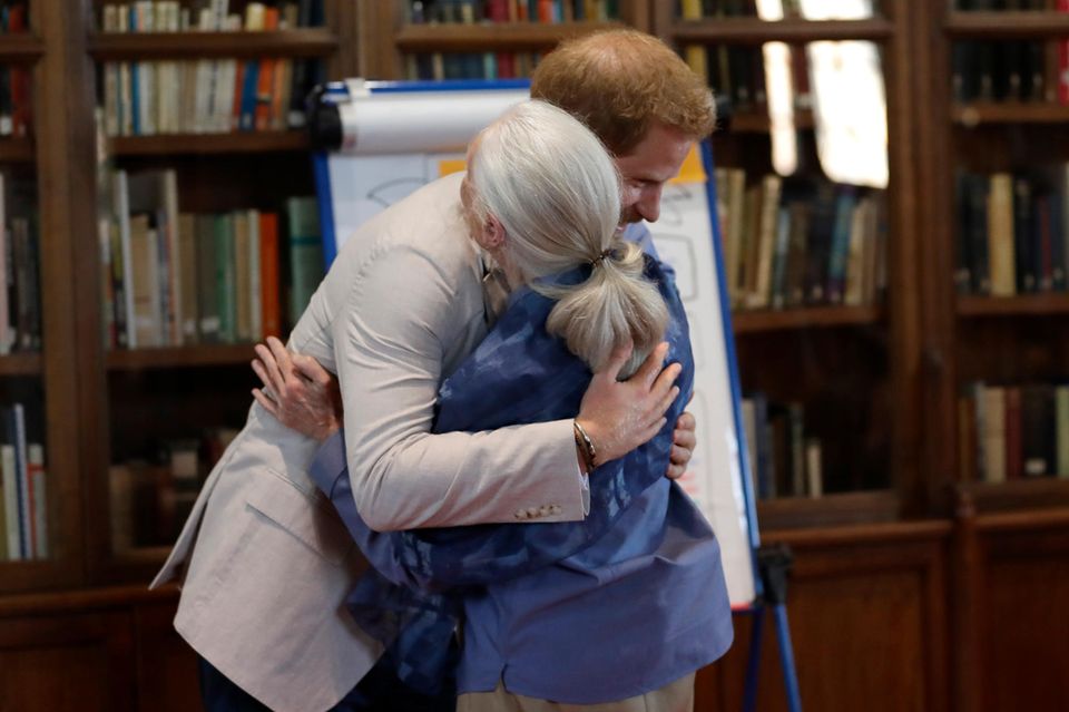 Wie nah sich Harry und Jane Goodall stehen, zeigt nicht nur diese Umarmung. Der Prinz verriet der Wissenschaftlerin auch, was er sich für seinen Sohn Archie wünscht.