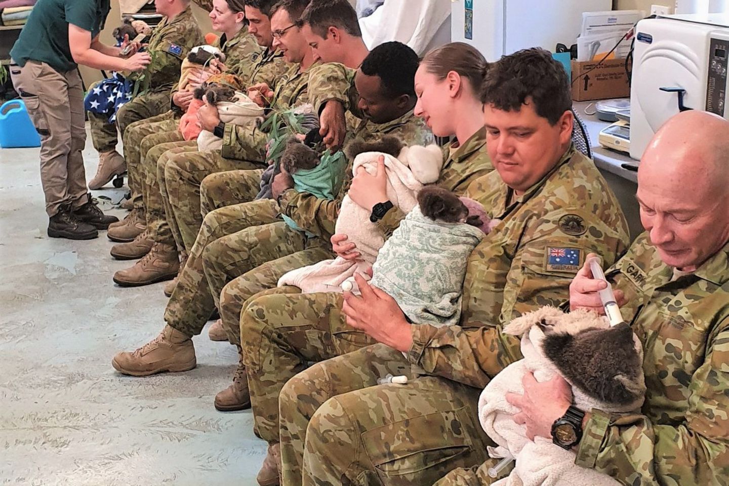 In ihrer Pause kümmerten sich australische Soldaten um verletzte Koalas.