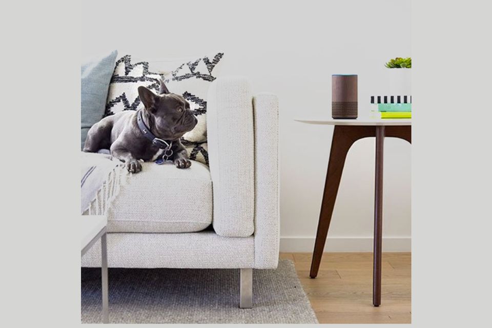 Smart Speaker: Das GALA-Starquiz gibt es als Alexa-Skill Das GALA-Starquiz gibt es als Alexa-Skill