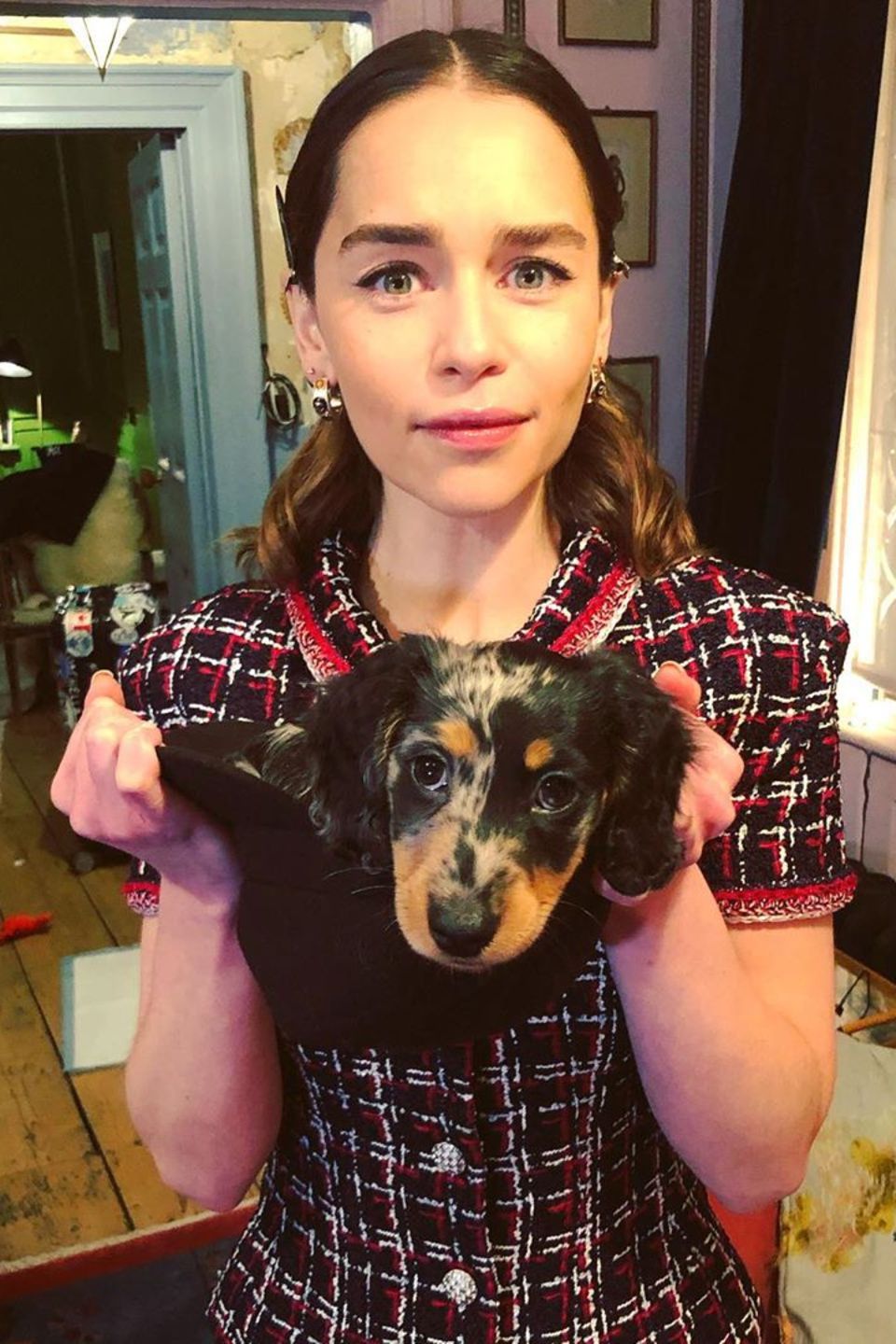 Emilia Clarke trägt ihren Hundewelpen Emilia Clarke trägt ihren Hundewelpen