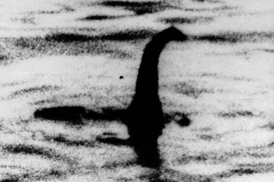 Dieses Foto von "Nessie" kursiert bereits seit dem Jahr 1934 - allerdings wurde es als Fälschung entlarvt.