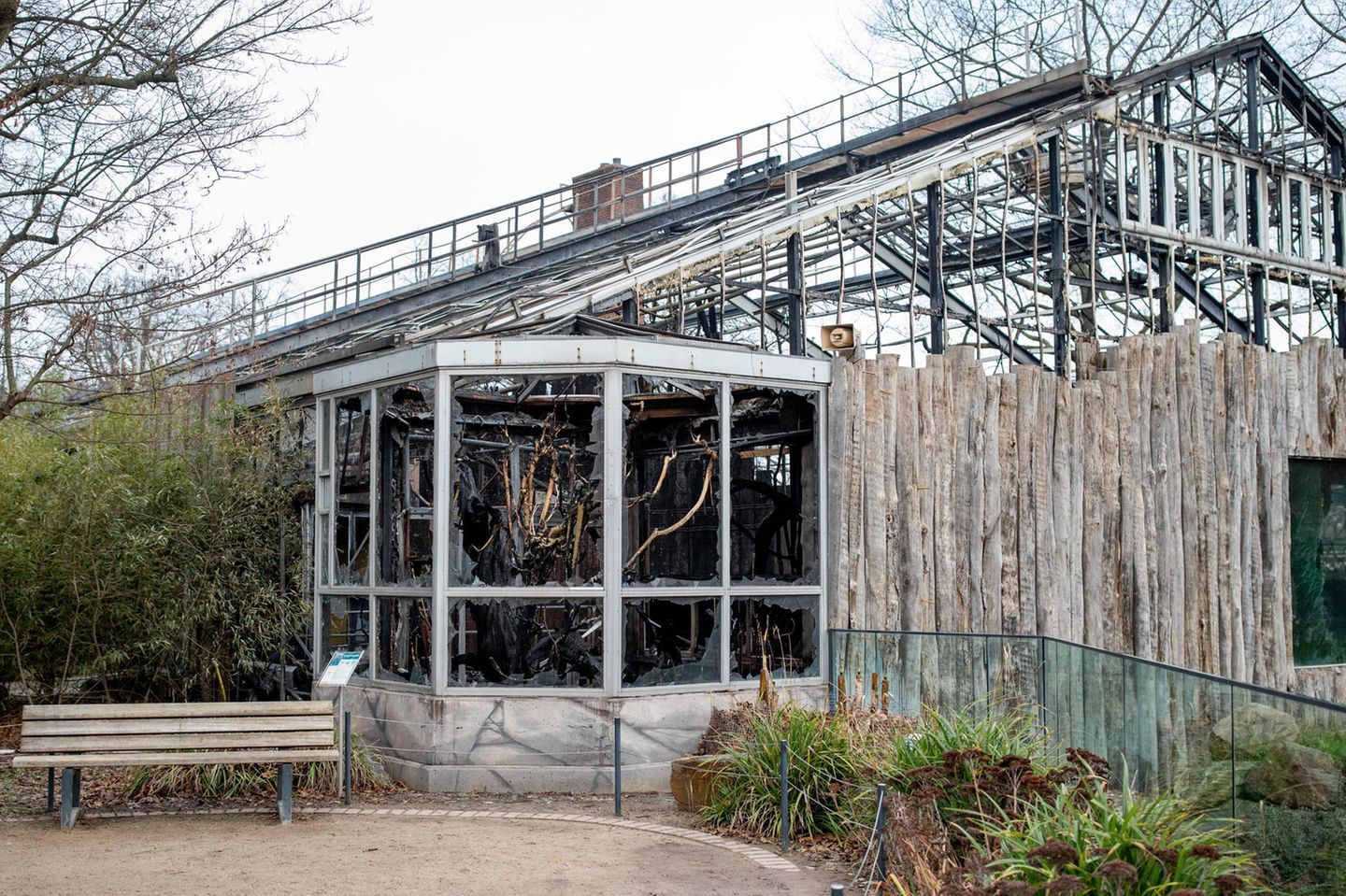 Am 17. Februar beginnen die Abrissarbeiten am abgebrannten Affenhaus im Krefelder Zoo