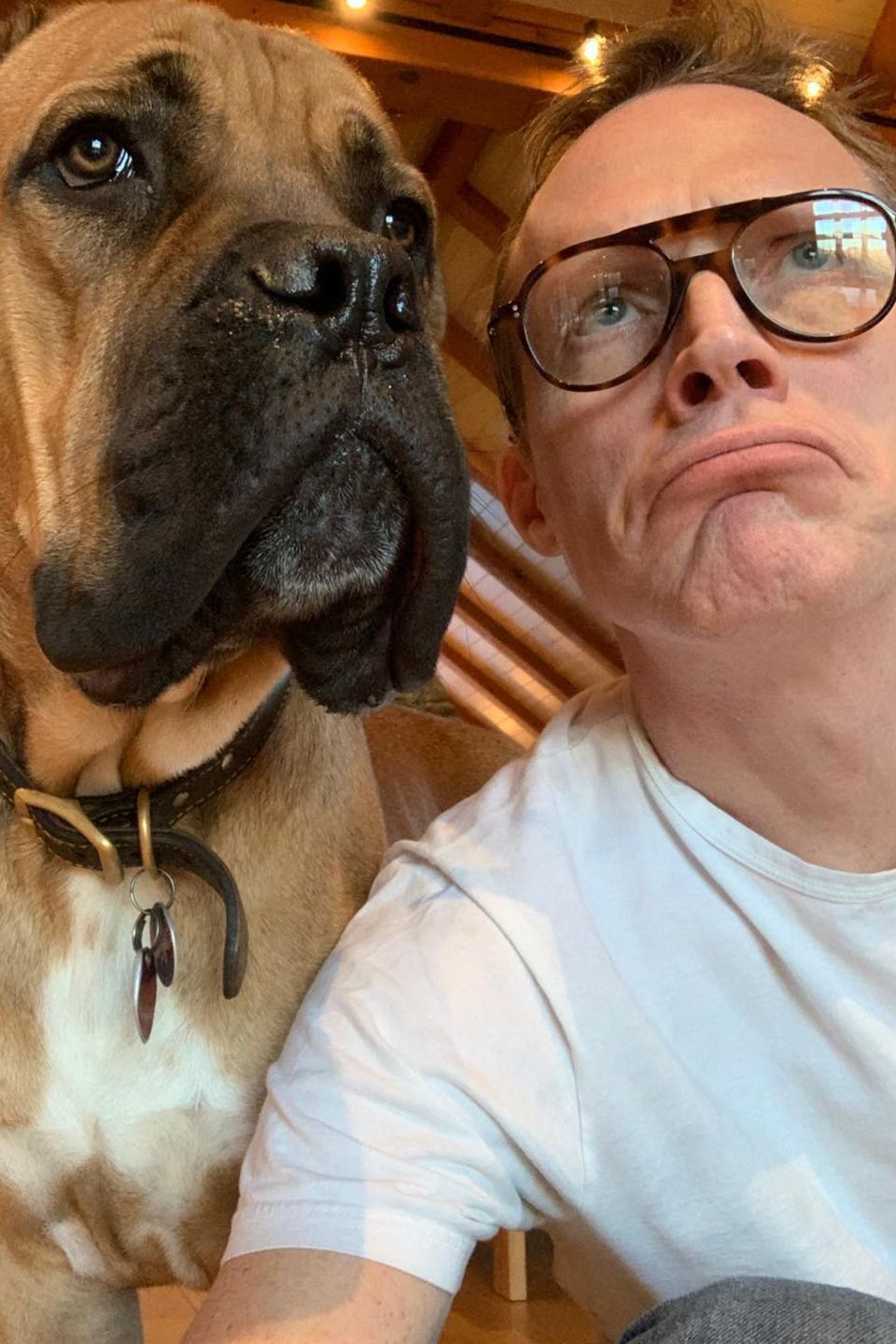 Paul Bettany + sein Hund