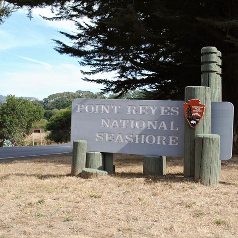 Das Paar verschwand während der Wanderung nahe des "Point Reyes National Seashore". (Symbolbild)