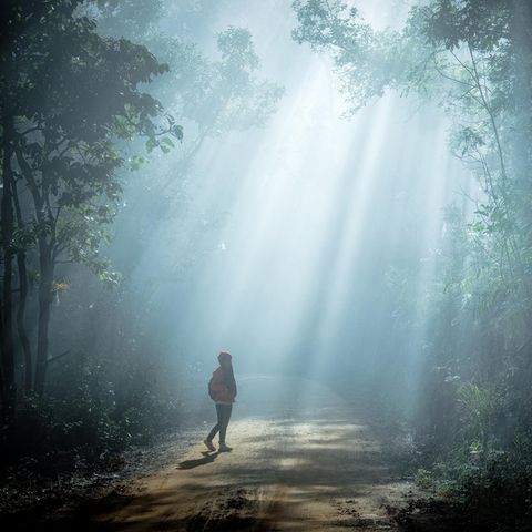 Das achtjährige Mädchen aus Georgia ist meilenweit alleine durch den Wald gelaufen, für ihre Mutter kam allerdings jede Hilfe zu spät. (Symbolbild)