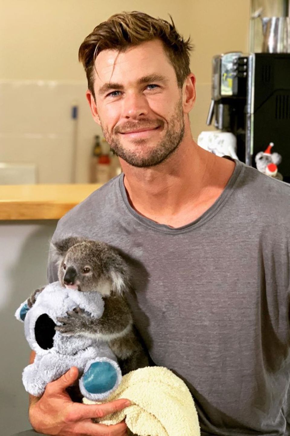 Chris Hemsworth hält einen Koala-Baby auf dem Arm