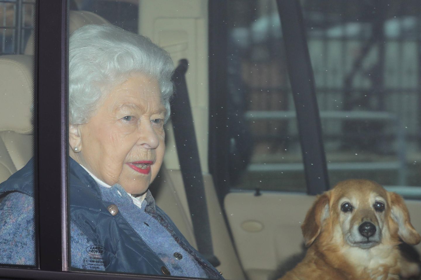 Queen Elizabeth bei der Abfahrt aus dem Buckingham Palast aus London. Mit dabei: einer ihrer Hunde.