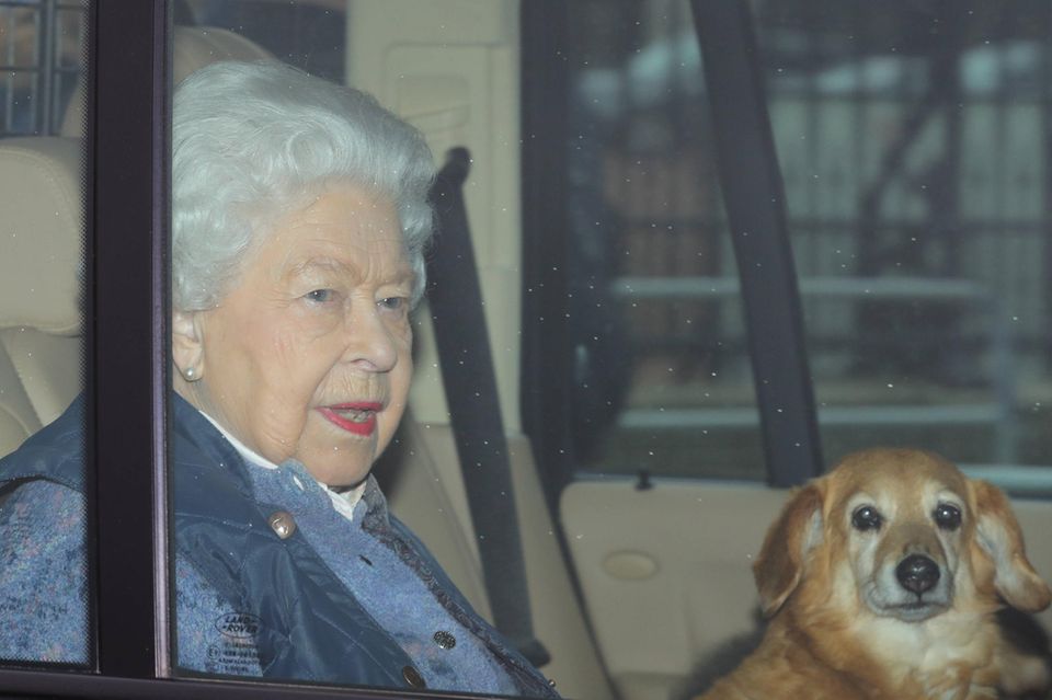 Royal-News über Kate + William: Queen Elizabeth bei der Abfahrt aus dem Buckingham Palast aus London. Mit dabei: einer ihrer Hunde. Queen Elizabeth bei der Abfahrt aus dem Buckingham Palast aus London. Mit dabei: einer ihrer Hunde.