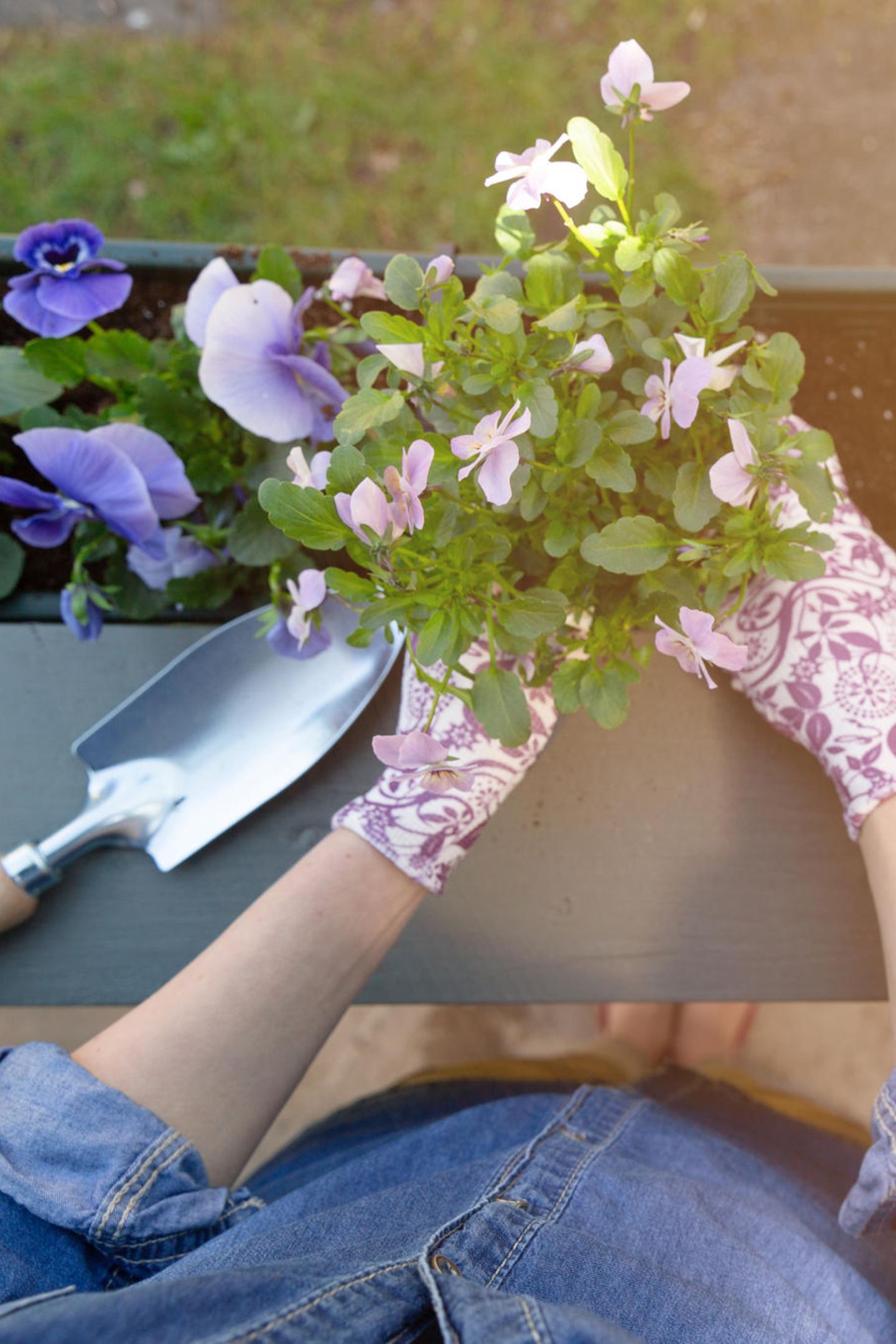 Gartenarbeit Gegen Corona Die Besten Tipps Und Tricks Gala De