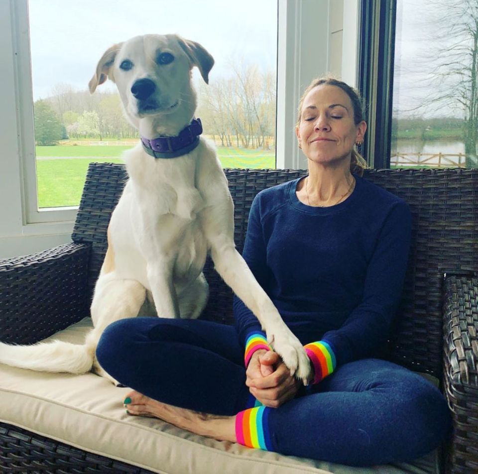 Auch Sängerin Sheryl Crow bekommt seelischen Beistand von Hund Jewels. Ommm! Auch Sängerin Sheryl Crow bekommt seelischen Beistand von Hund Jewels. Ommm!